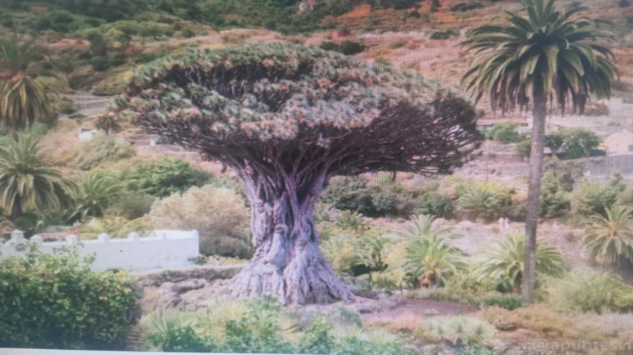Tradicional Casa Canaria Con Piscina Y Vistas Al Teide Icod De Los Vinos Luaran gambar